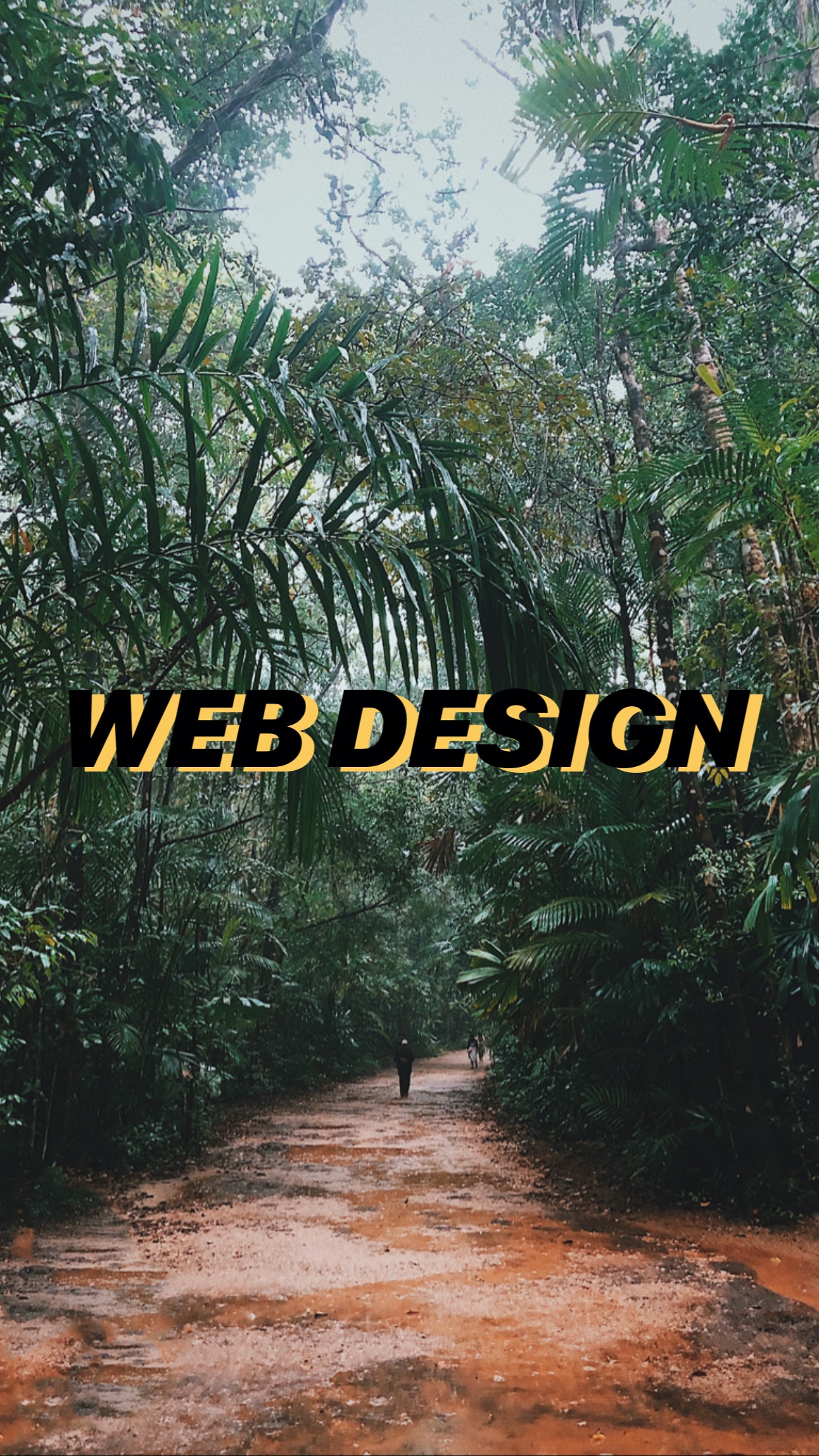 Web Design Display